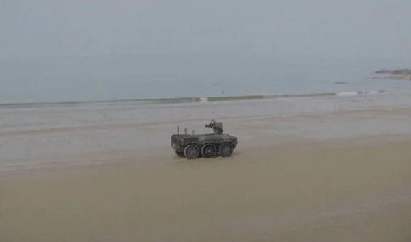 231.jpg