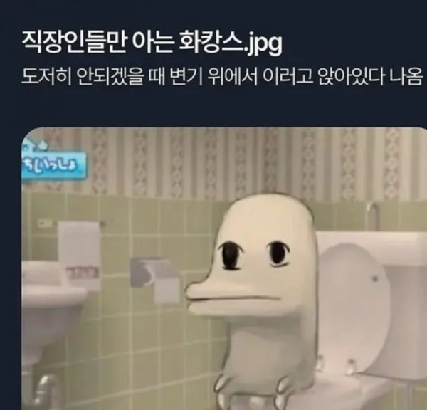 237.jpg