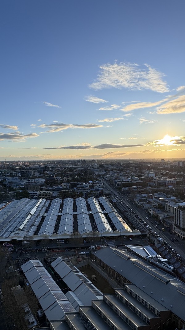 91.jpg
