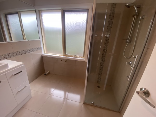 113.jpg