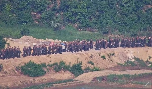 185.jpg