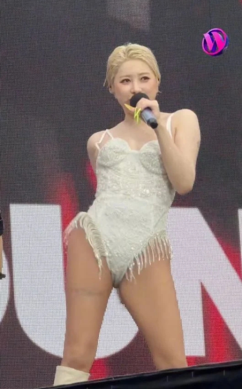 211-1.jpg